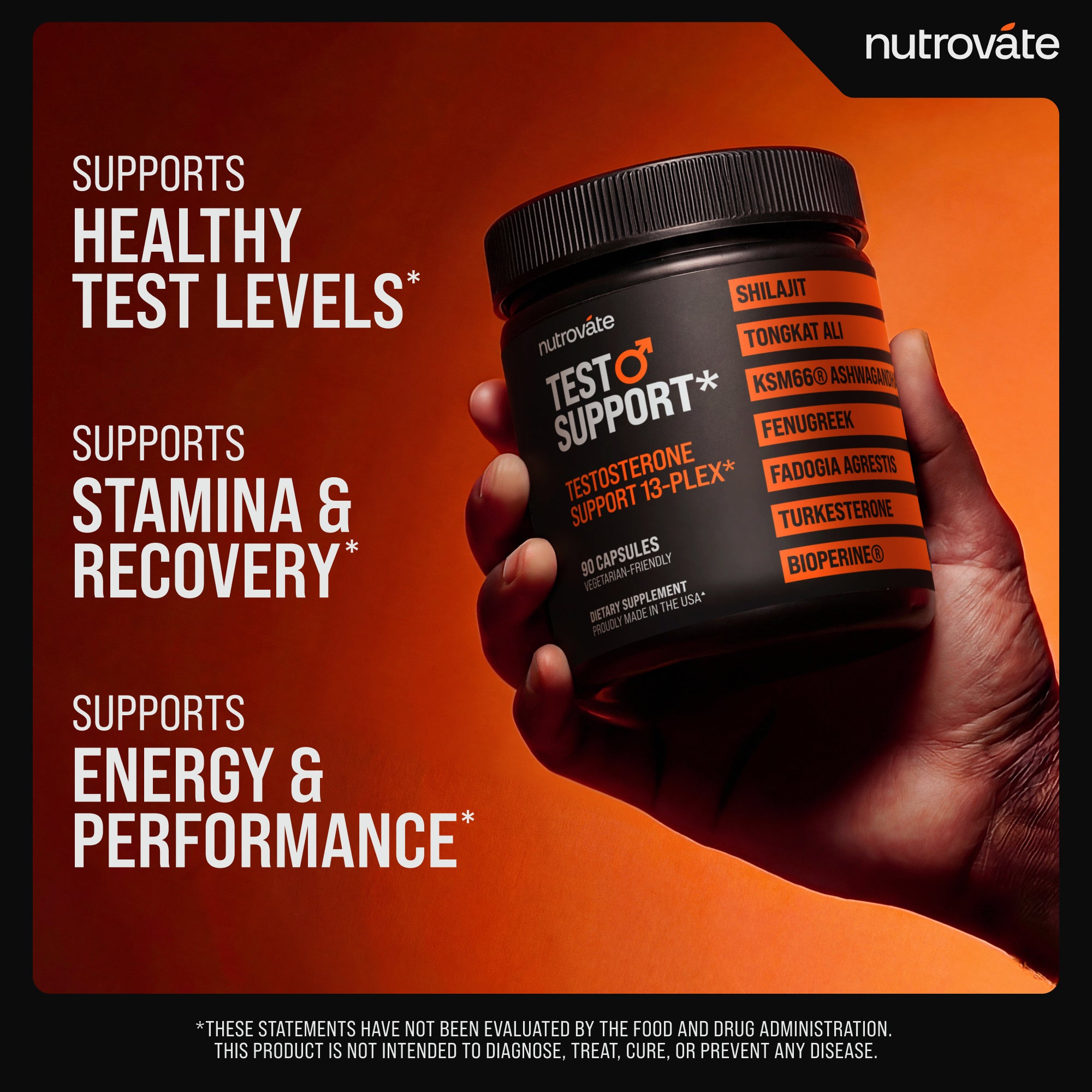 Test Support | Testosterone Support 13-Plex