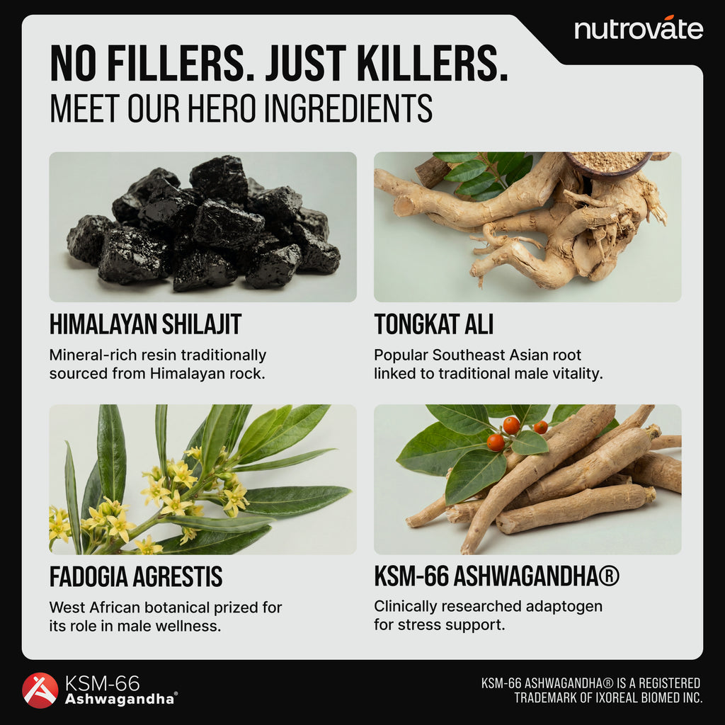 Test Support | Testosterone Support 13-Plex